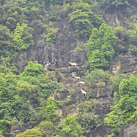 Fairy Mountain Retreat Hotel Ninh Binh Eksteriør billede