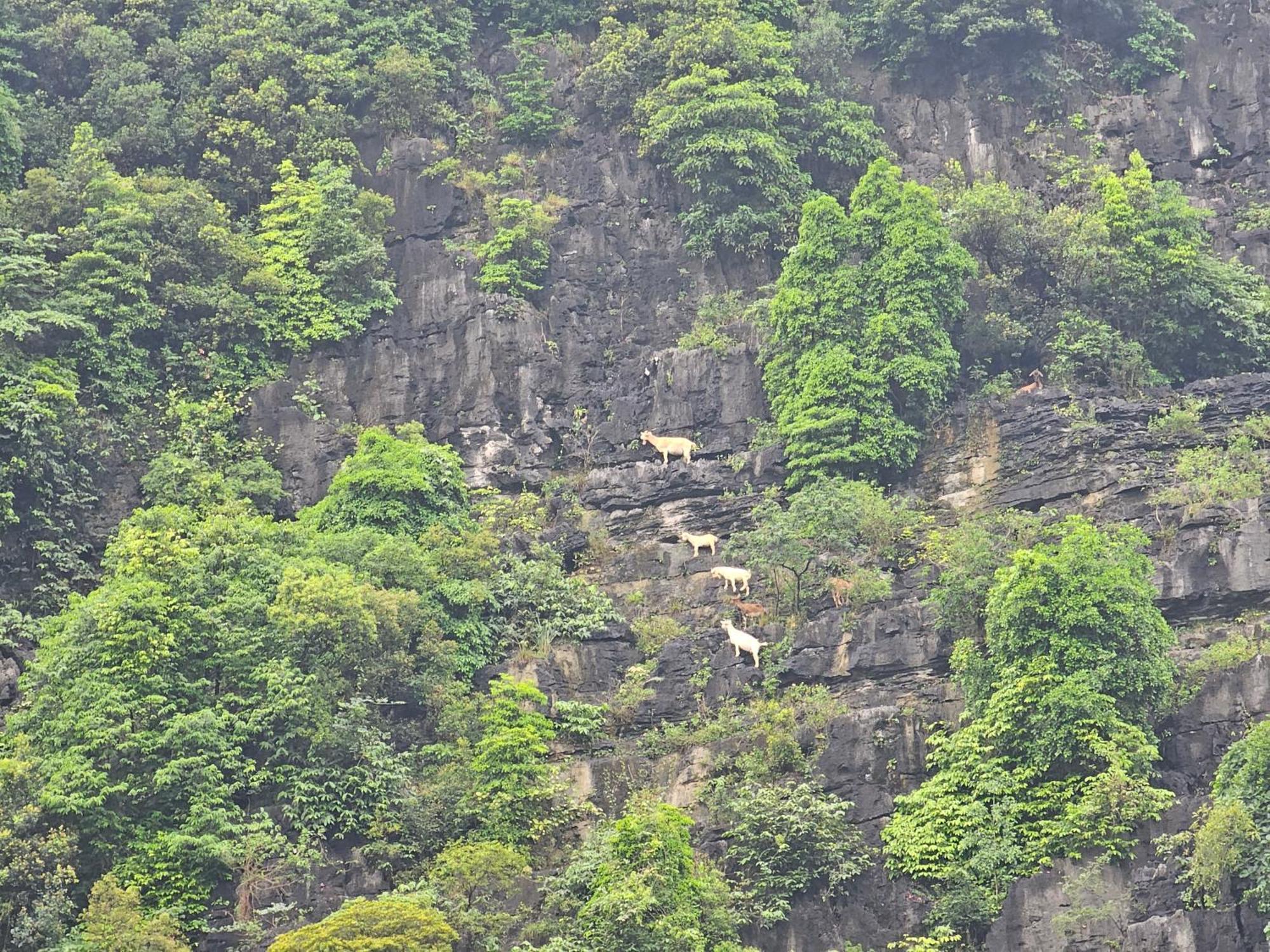 Fairy Mountain Retreat Hotel Ninh Binh Eksteriør billede