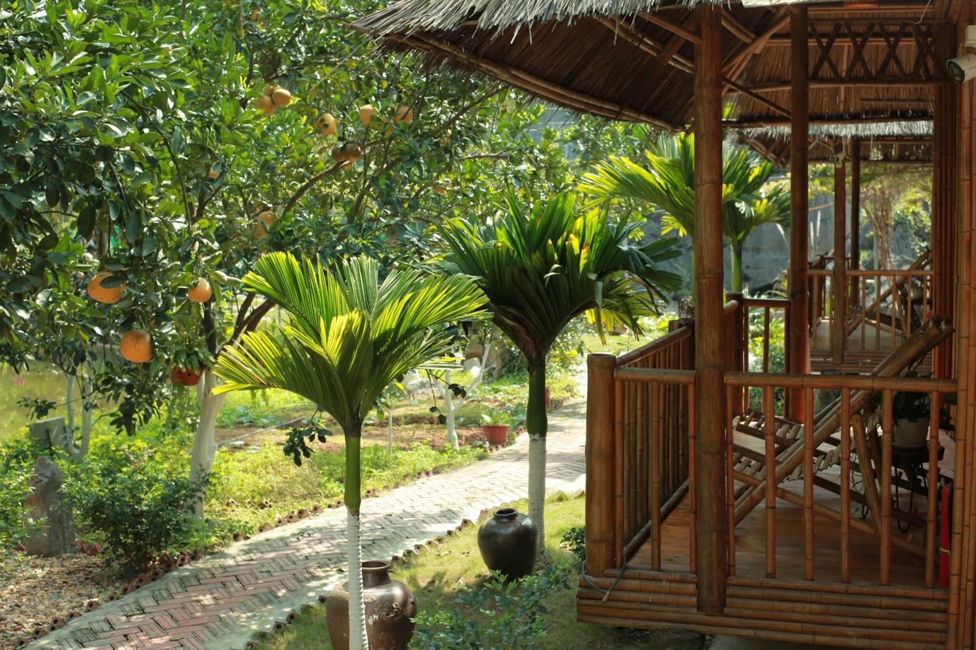 Fairy Mountain Retreat Hotel Ninh Binh Eksteriør billede